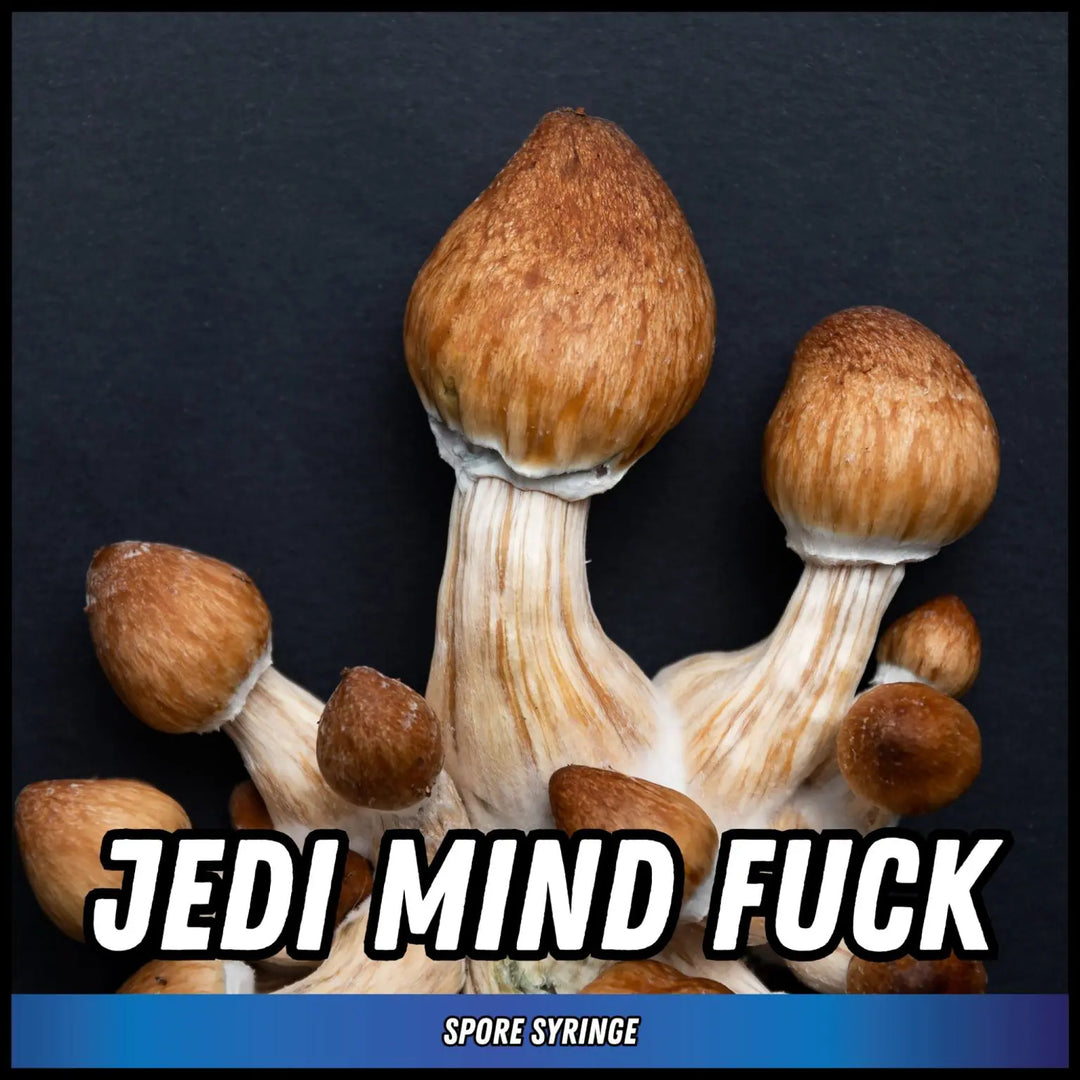 Eden Shrooms Spores - Jedi Mind Fuck