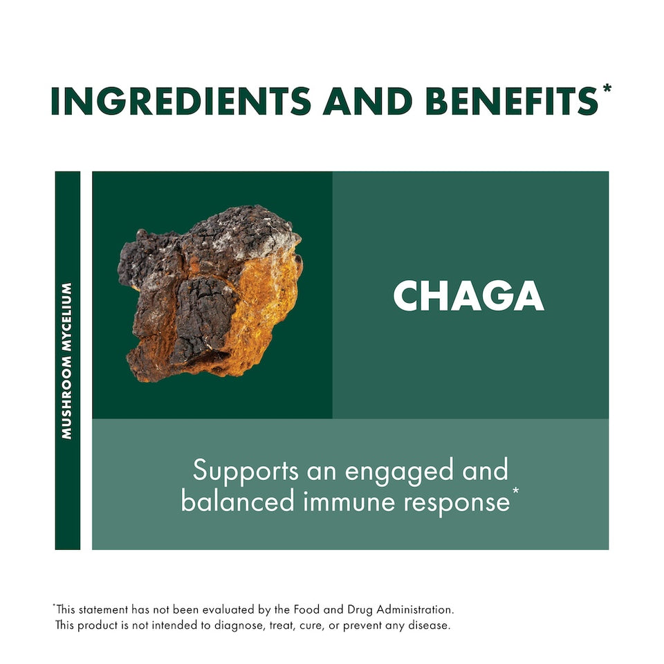 My Host Defense - Chaga