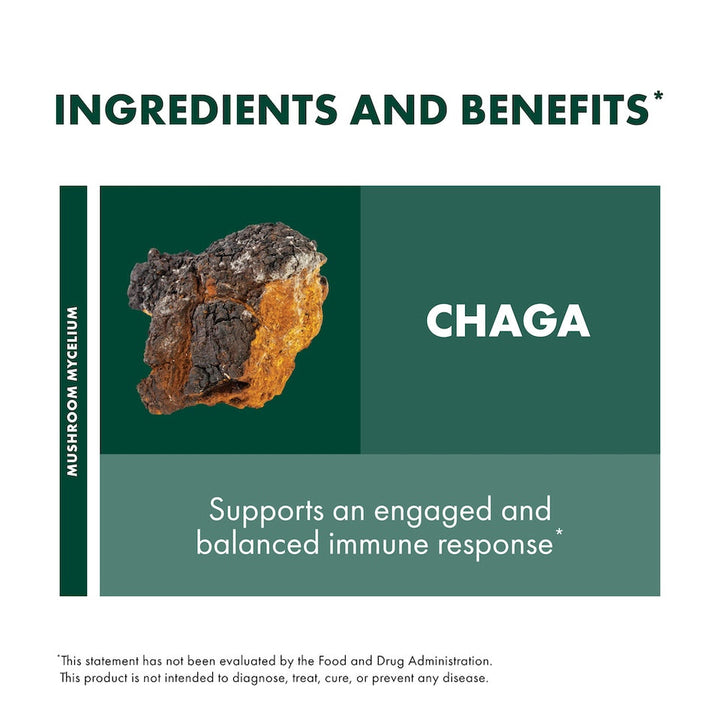 My Host Defense - Chaga