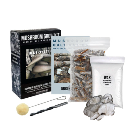 North Spore Grow Kits - Blue Oyster