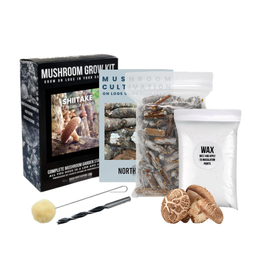 North Spore Grow Kits - Shitake