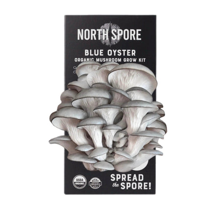 Functional Spray-N-Grow - Blue Oyster