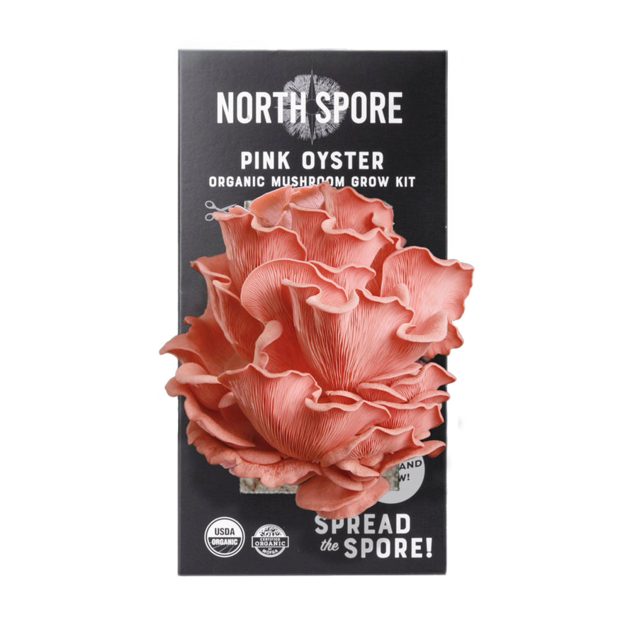 Functional Spray-N-Grow - Pink Oyster