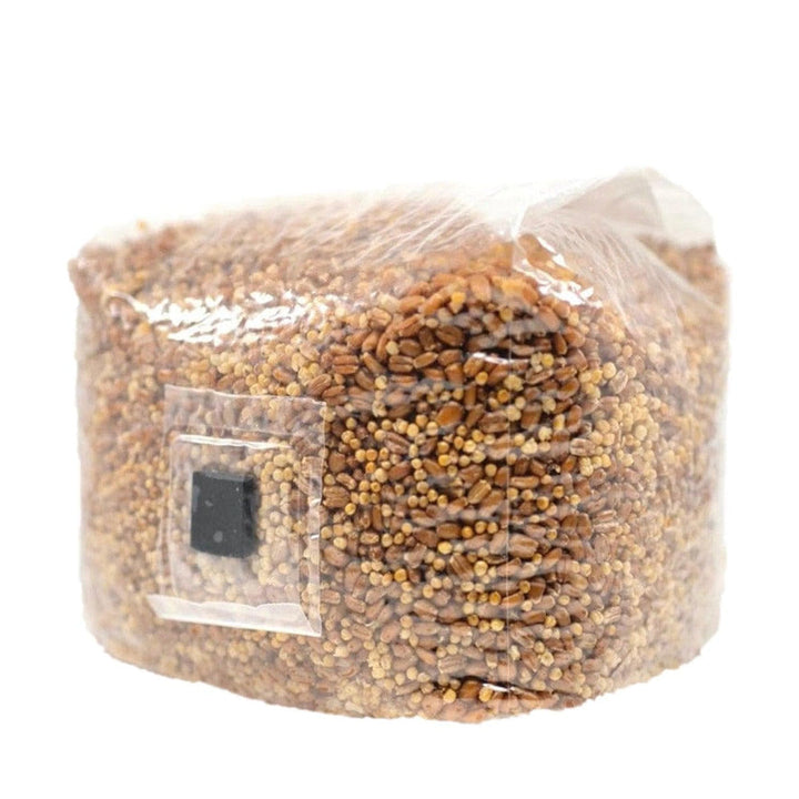 North Spore Supplies - Injectable Grain Bags