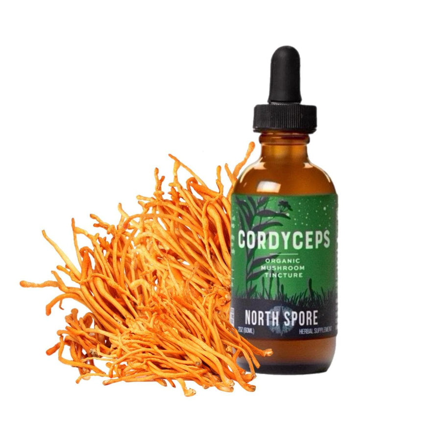 North Spore Consumables - Cordyceps