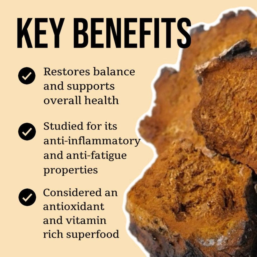 North Spore Consumables - Chaga